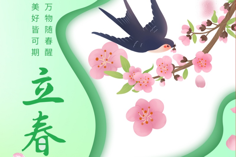 今日立春｜万物随春醒，美好皆可期